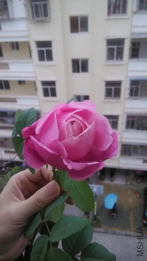 ������С IMG_20150331_065907.jpg
