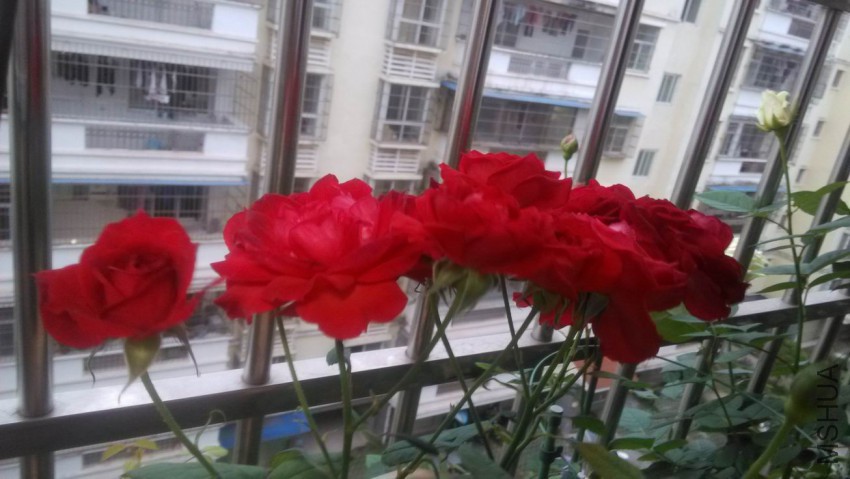 ������С IMG_20150331_065952.jpg