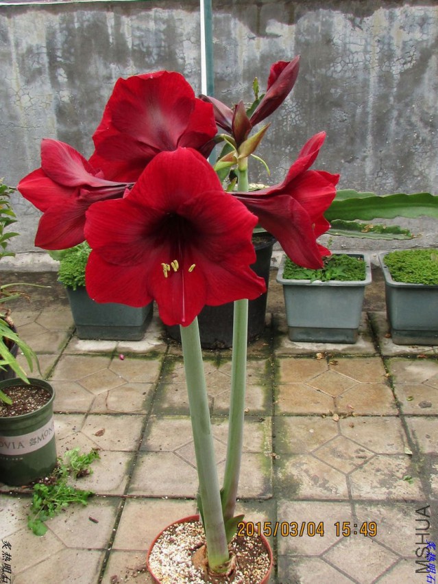 IMG_9046_nEO_IMG.jpg