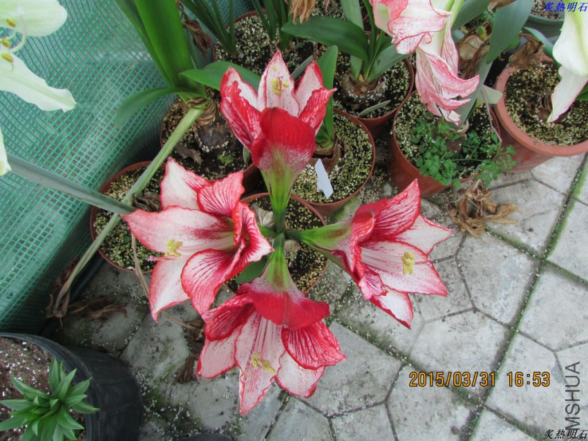 IMG_2356_nEO_IMG.jpg