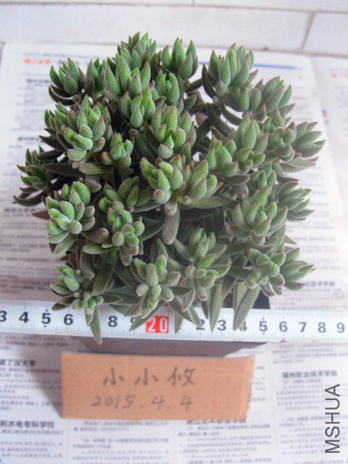 SNV12441_����.jpg