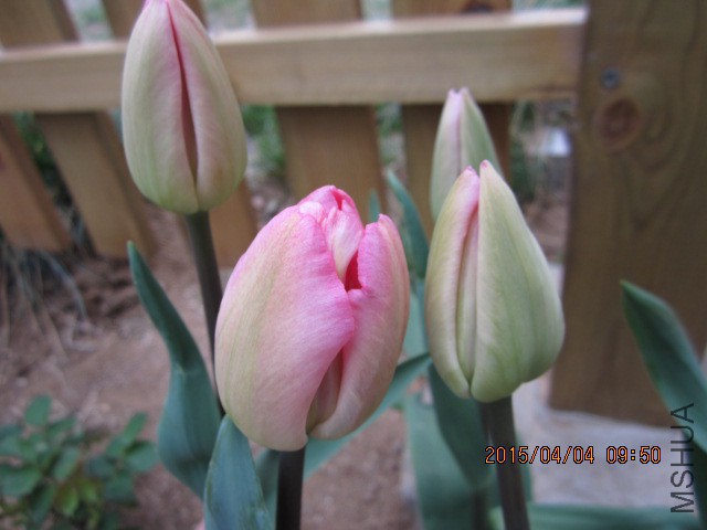 IMG_8040.JPG