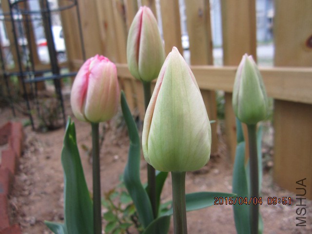 IMG_8042.JPG