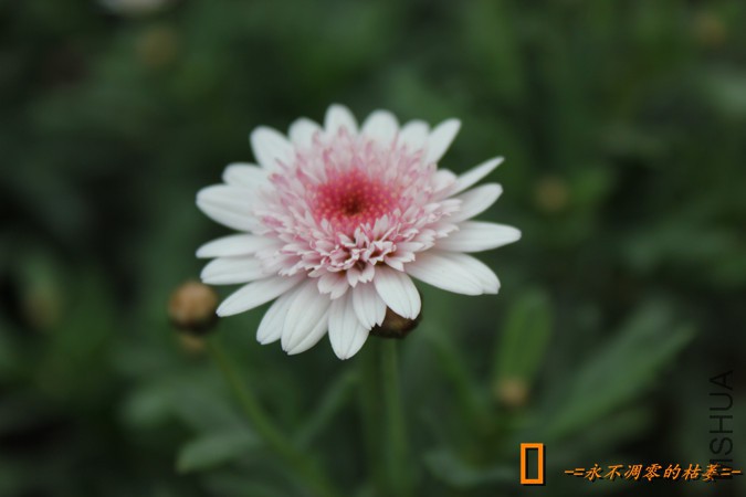 IMG_9228_���� - ����.jpg