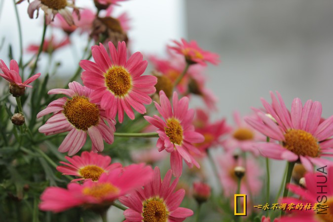 IMG_9197_���� - ����.jpg