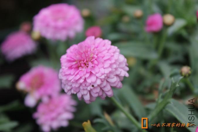 IMG_9230_���� - ����.jpg