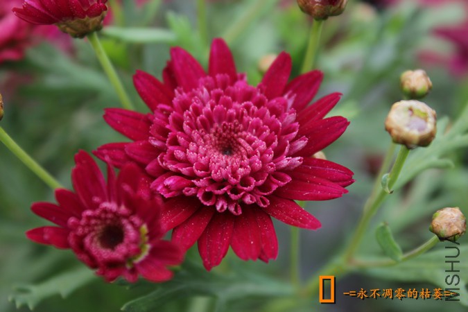 IMG_9222_���� - ����.jpg