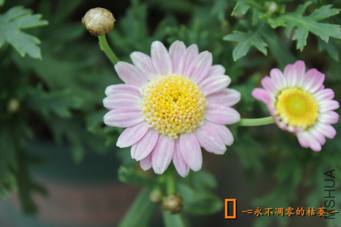 IMG_9225_���� - ����.jpg