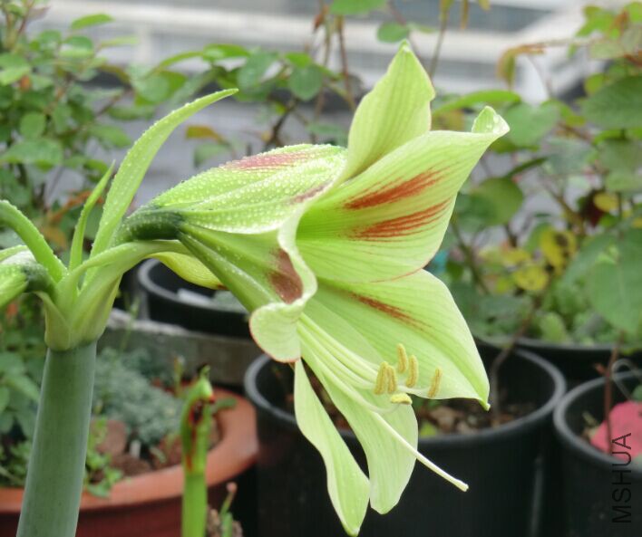 QQͼƬ20150404115655.jpg