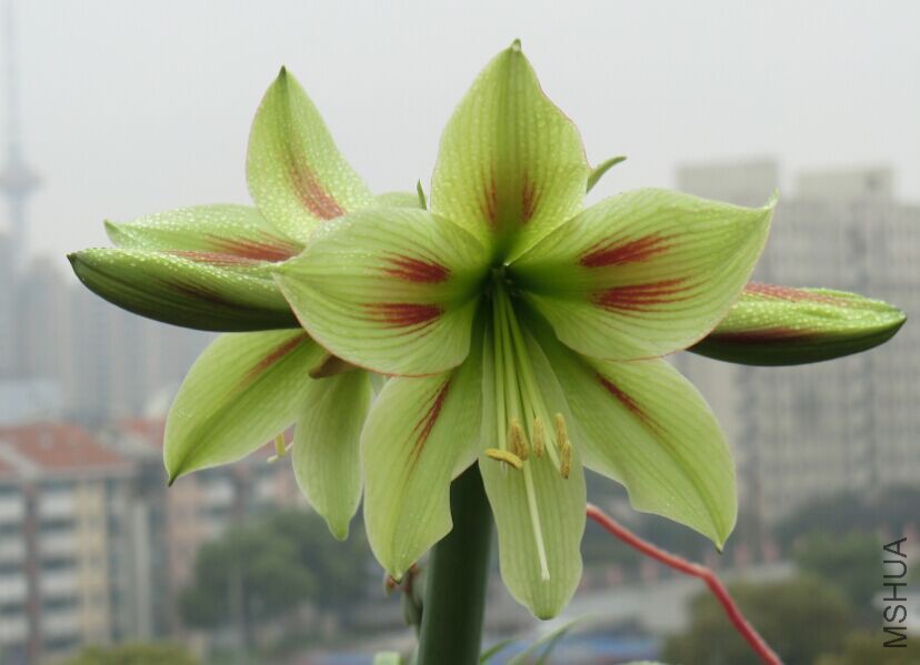 QQͼƬ20150404112950.jpg