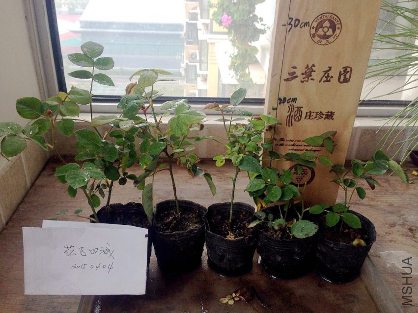 QQͼƬ20150404213743.jpg