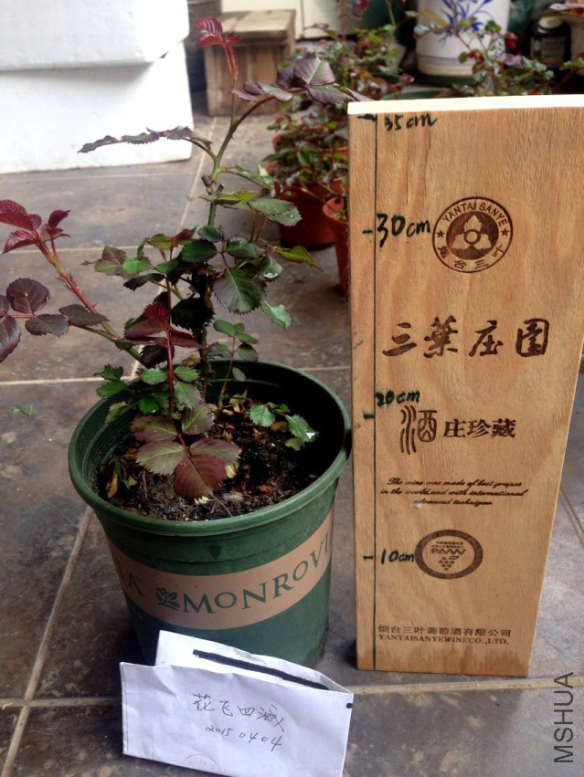 QQͼƬ20150404213753.jpg