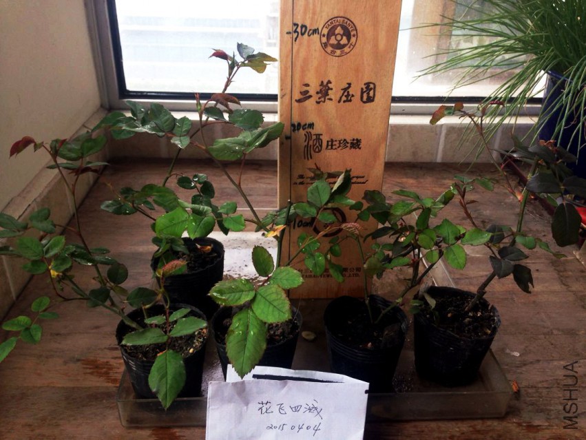 QQͼƬ20150404213757.jpg