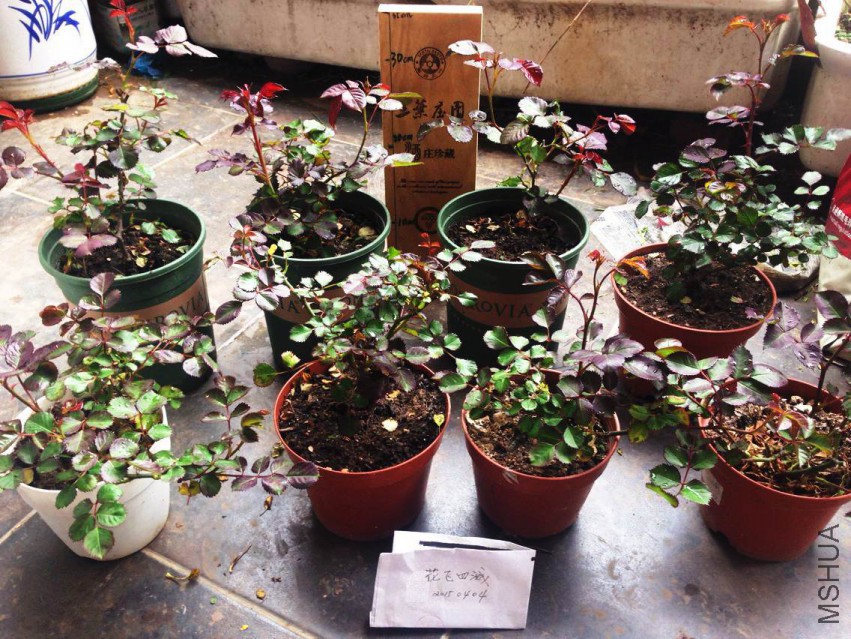 QQͼƬ20150404213801.jpg