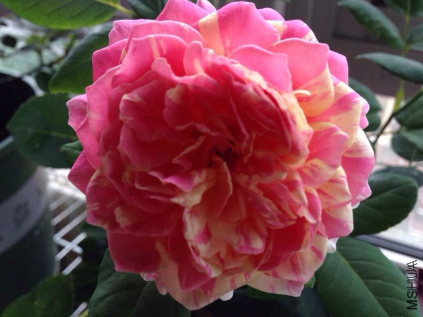 QQ20141025112150.jpg