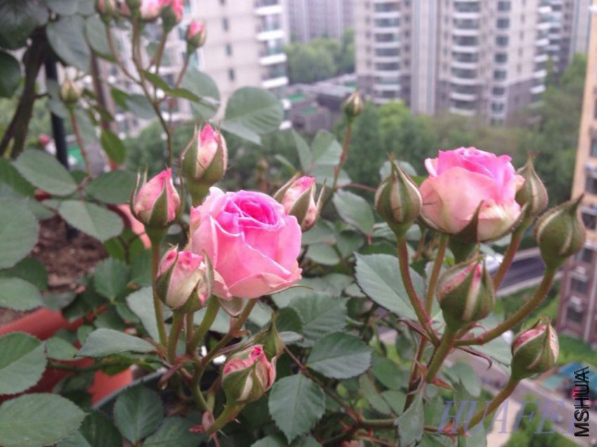 QQ20140426211027.jpg