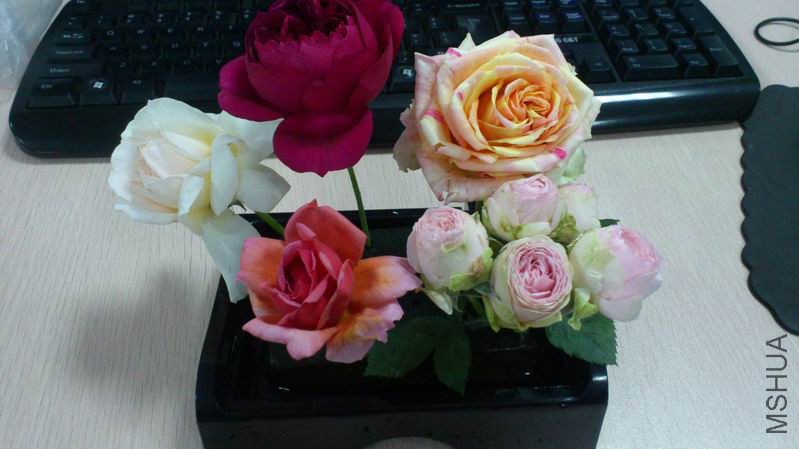 QQͼƬ20150404135428.jpg