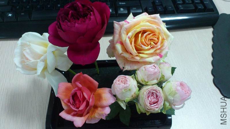 QQͼƬ20150404135432.jpg