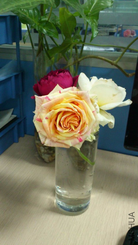 QQͼƬ20150404135440.jpg