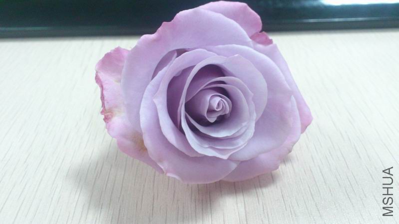 QQͼƬ20150404135012.jpg