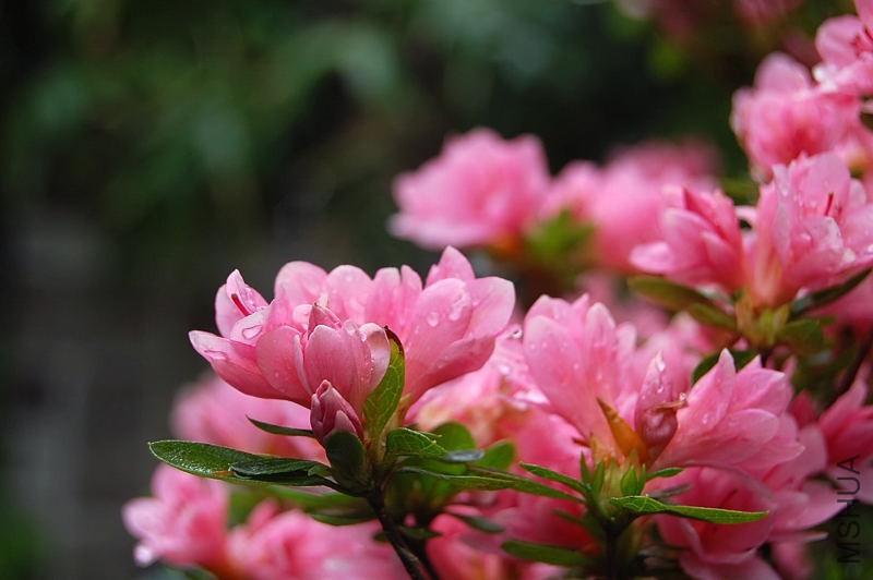 DSC_00160016.JPG