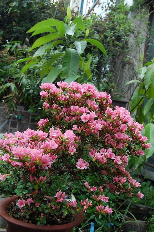 DSC_00270027.JPG