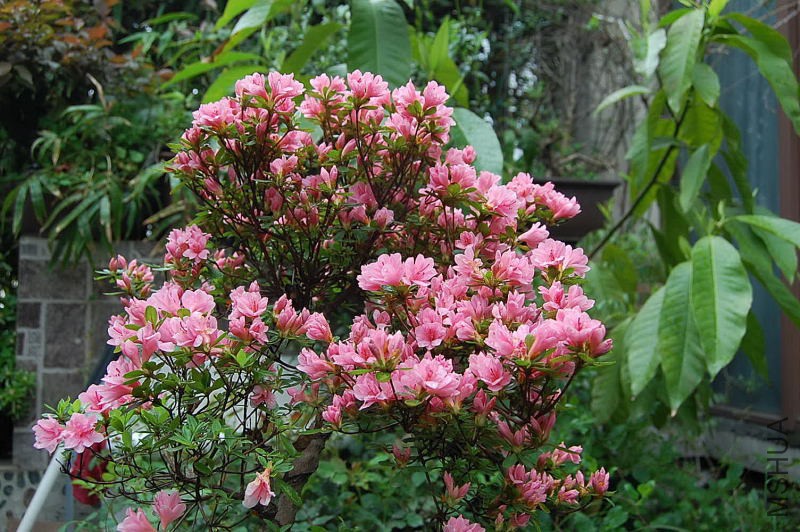 DSC_00030003.JPG