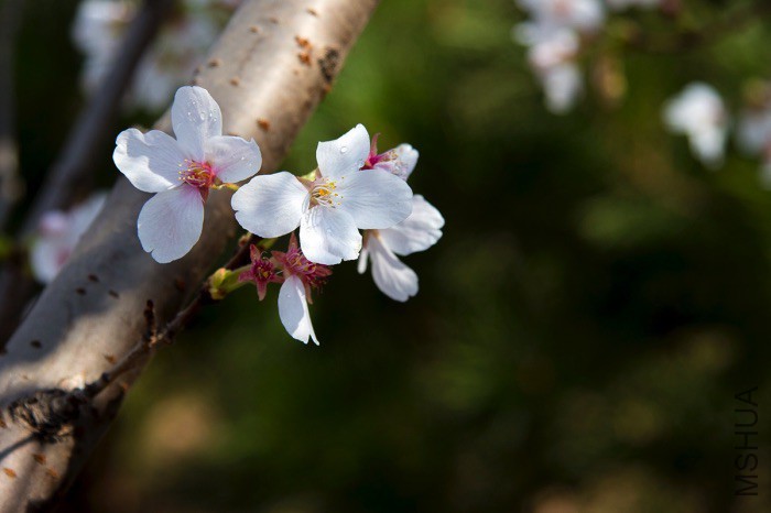 7ab22828b308561f.jpg