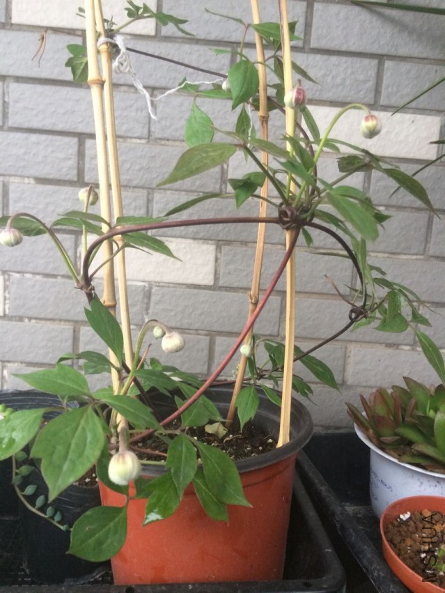 QQͼƬ20150405204753.jpg
