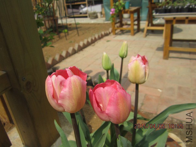 IMG_8073.JPG