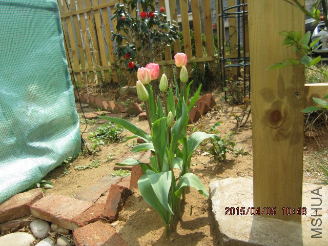 IMG_8054.JPG