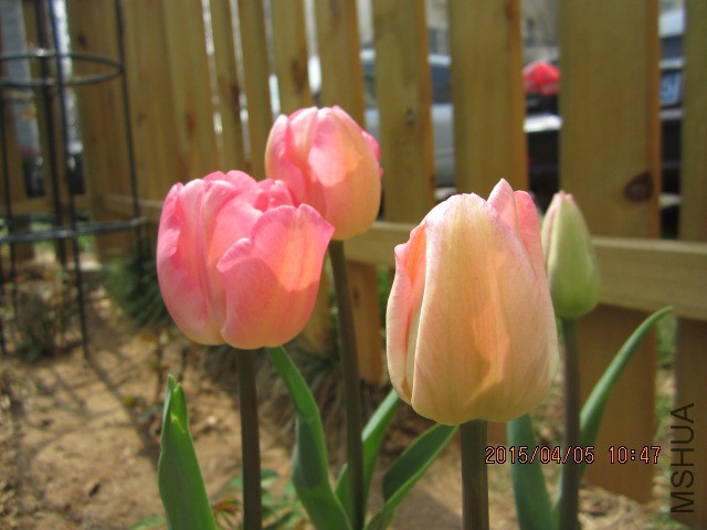 IMG_8057.JPG