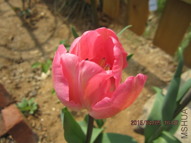 IMG_8060.JPG