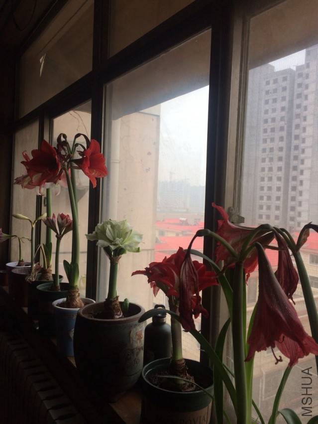 QQͼƬ20150405213627.jpg