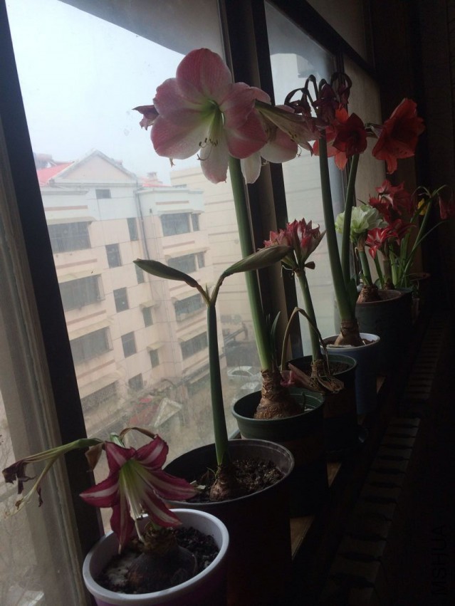 QQͼƬ20150405213622.jpg