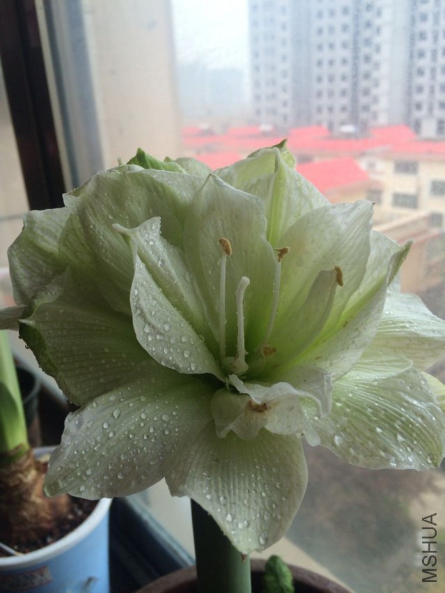 QQͼƬ20150405213612.jpg