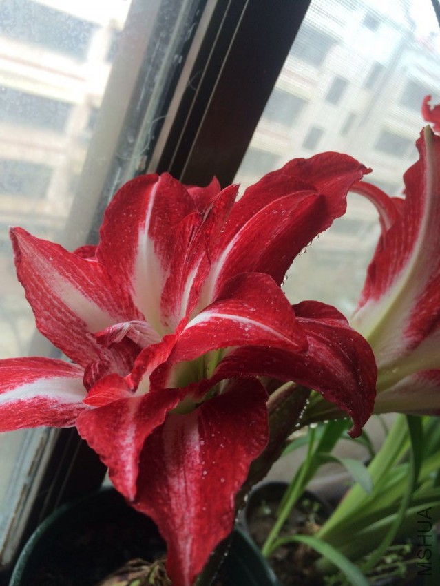 QQͼƬ20150405213607.jpg