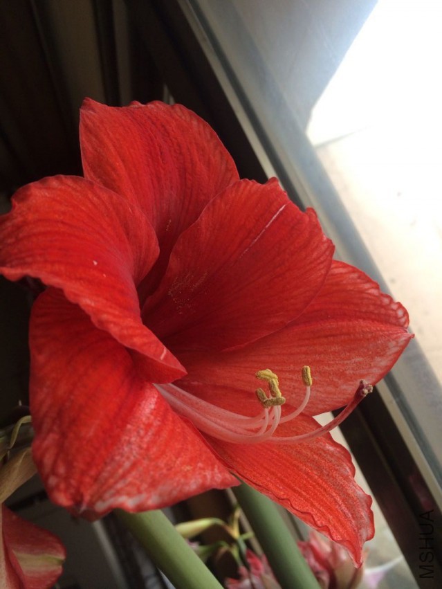 QQͼƬ20150405213600.jpg