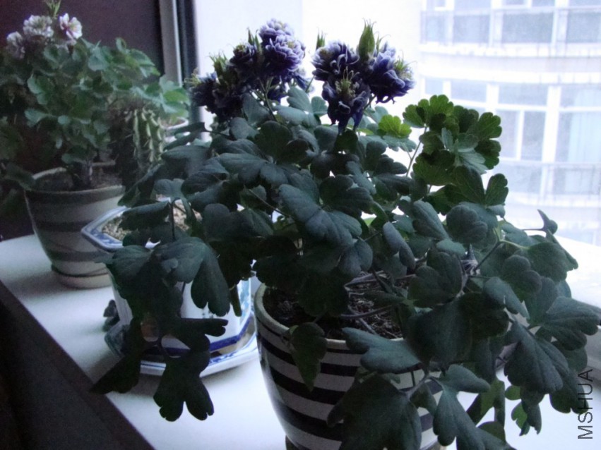 2015-04-05 22 05 01.jpg