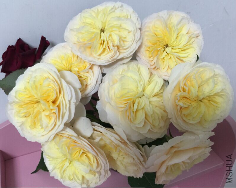 QQͼƬ20150405222611.jpg