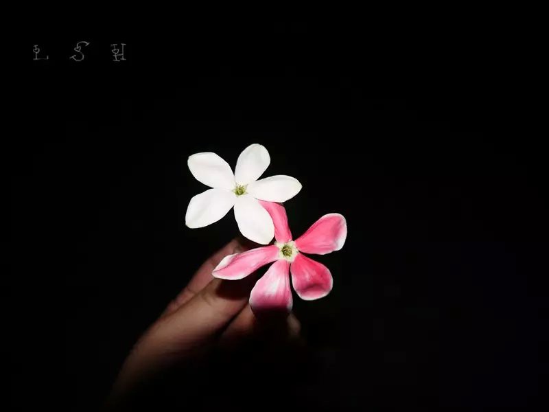 psb (8).jpg