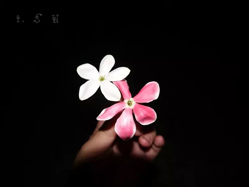 psb (9).jpg