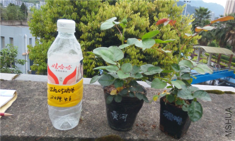 20150406 �ƺӡ�����ɺ����.jpg