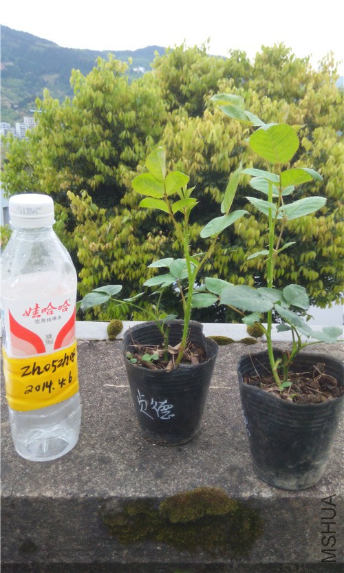 20150406 ���.jpg