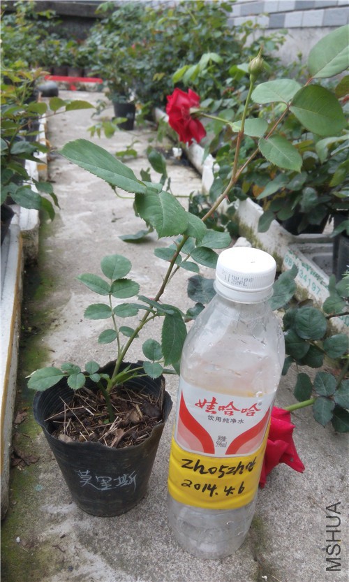 20150406Ī��˹.jpg
