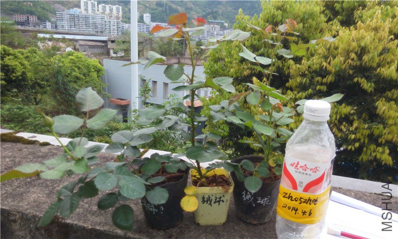 20150406��������.jpg