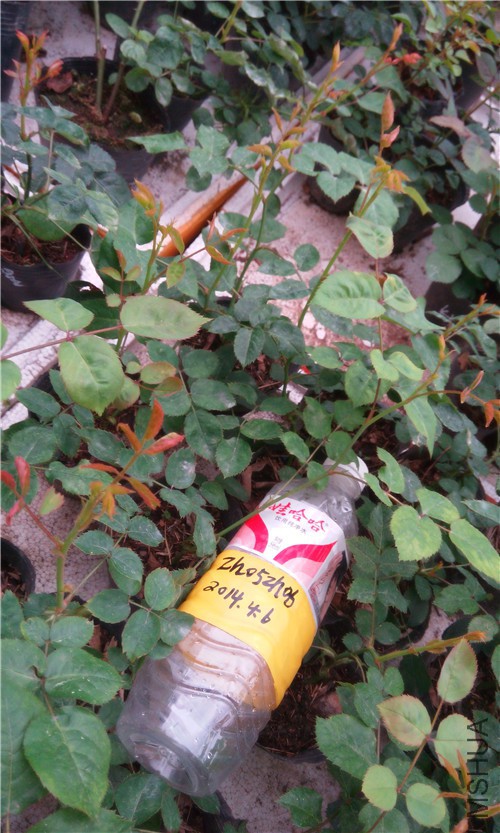 20150406Ī��.jpg