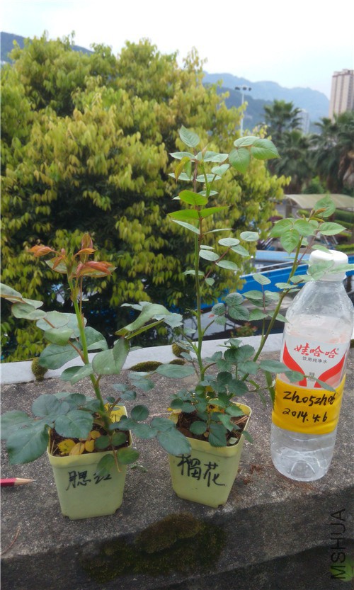 20150406�������ȡ�������.jpg
