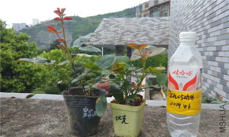 20150405170027.jpg