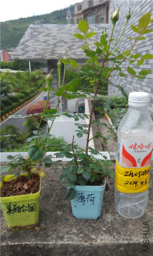 20150405170155.jpg